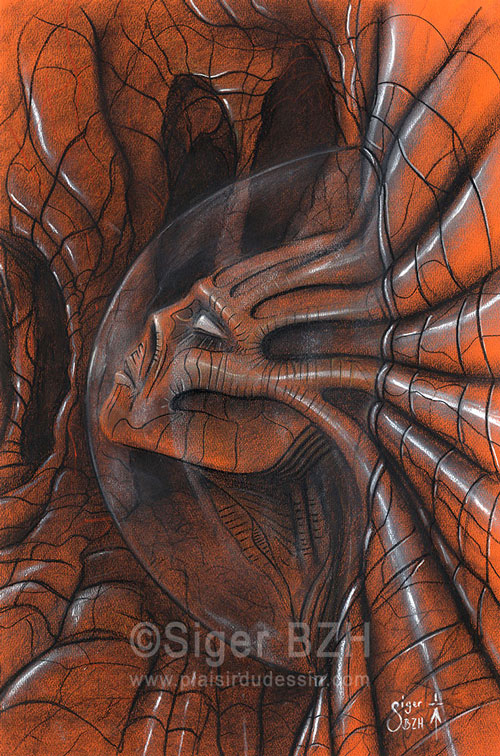 Anthropoïde sphère - Siger BZH