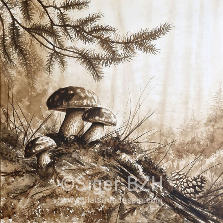 Cèpes par ici - Aquarelle de Siger BZH