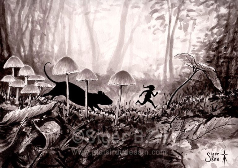 Course poursuite - Siger BZH