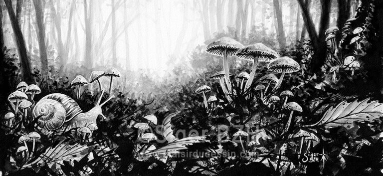 Rencontre en sous-bois - Encre de Chine - Siger BZH