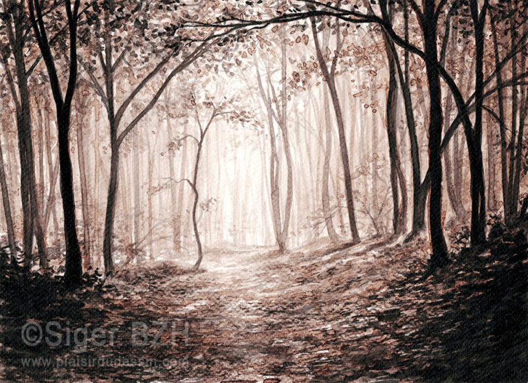 Sous-bois - Siger BZH - Brou de noix