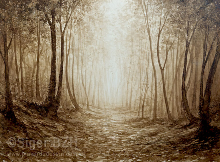 Lumière en sous-bois - Brou de noix - Siger BZH