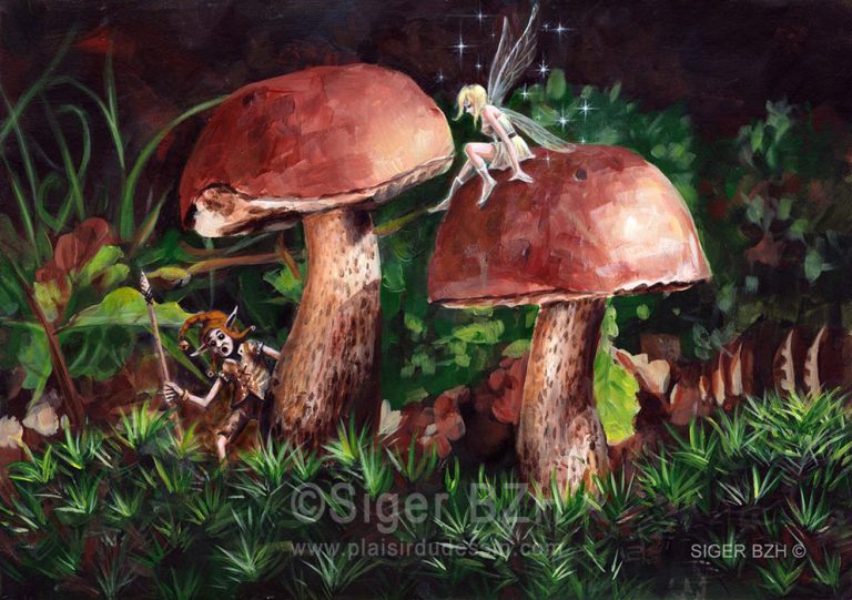 Sous les cèpes - Siger BZH