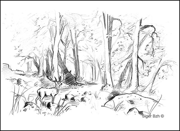 règles des 3 tiers - format horizontal foret cerf nb