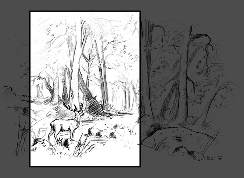 Recadrage règle des 3 tiers composition du dessin